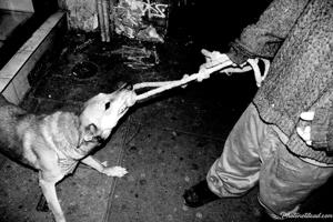 Black-and-white Punk Photography in Paris
