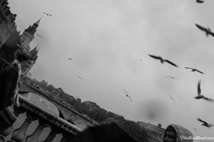 Street Photography Paris