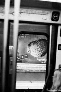 Street Photography Paris